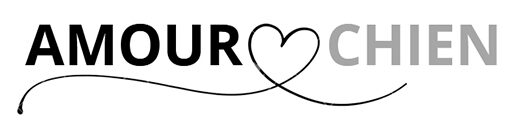 AMOUR CHIEN