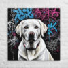 TOILE LABRADOR – GRAFFITI – vue 3