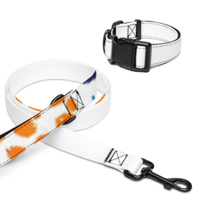Collier et laisse pour animal de compagnie