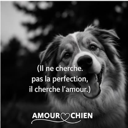 Il ne cherche pas la perfection, il cherche l&rsquo;amour