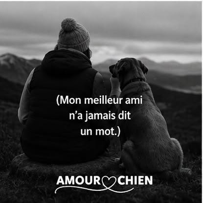 Mon meilleur ami n&rsquo;a jamais dit un mot